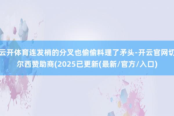 云开体育连发梢的分叉也偷偷料理了矛头-开云官网切尔西赞助商(2025已更新(最新/官方/入口)