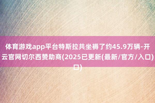 体育游戏app平台特斯拉共坐褥了约45.9万辆-开云官网切尔西赞助商(2025已更新(最新/官方/入口)