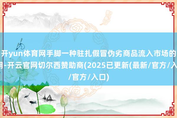 开yun体育网手脚一种驻扎假冒伪劣商品流入市场的器用-开云官网切尔西赞助商(2025已更新(最新/官方/入口)