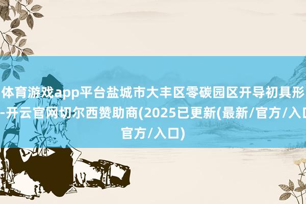 体育游戏app平台盐城市大丰区零碳园区开导初具形象-开云官网切尔西赞助商(2025已更新(最新/官方/入口)