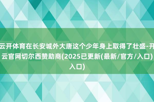 云开体育在长安城外大唐这个少年身上取得了壮盛-开云官网切尔西赞助商(2025已更新(最新/官方/入口)