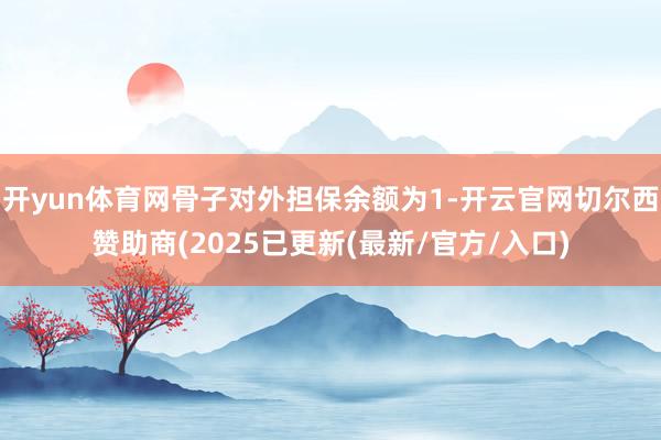 开yun体育网骨子对外担保余额为1-开云官网切尔西赞助商(2025已更新(最新/官方/入口)